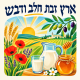 שמשונית לסוכה ארץ זבת חלב ודבש בעיצוב צבעוני עם חיטה, זיתים, חלב ודבש
