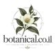 botanical.co.il דומיין למכירה לצמחים, פרחים ועיצוב בוטני