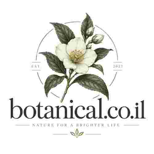 botanical.co.il דומיין למכירה לצמחים, פרחים ועיצוב בוטני
