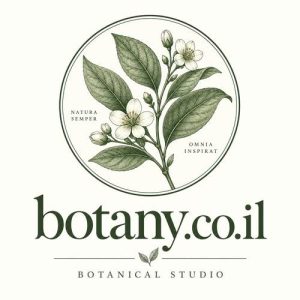 botany.co.il דומיין למכירה לצמחים, גינון ועיצוב ירוק