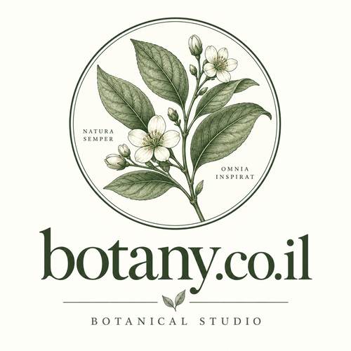 botany.co.il דומיין למכירה לצמחים, גינון ועיצוב ירוק