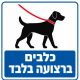 שלט כלבים ברצועה בלבד 30x30 ס"מ